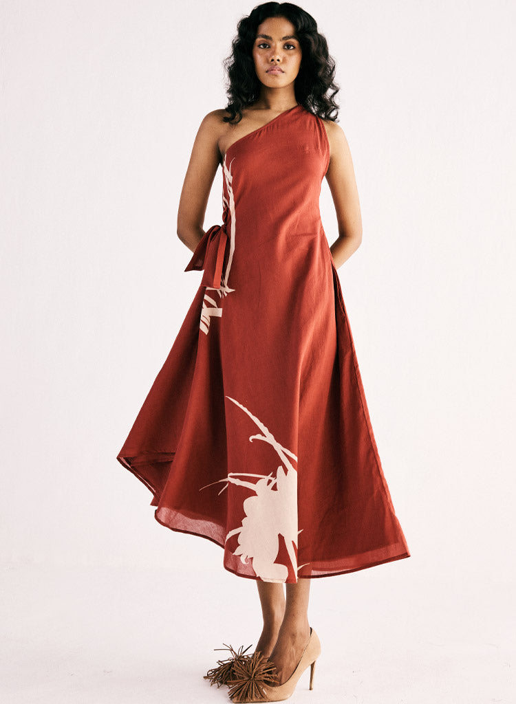 Desert-Rose-Dress-D.jpg